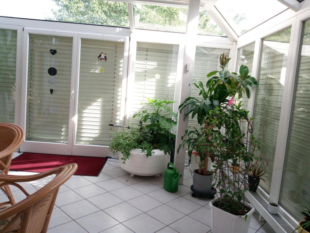 Ferienwohnung Schwalbennest ซอมเมอร์อาค ภายนอก รูปภาพ