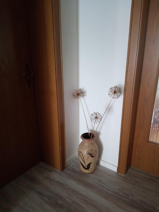 Ferienwohnung Schwalbennest ซอมเมอร์อาค ภายนอก รูปภาพ